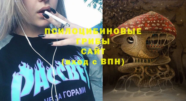хмурый Саяногорск