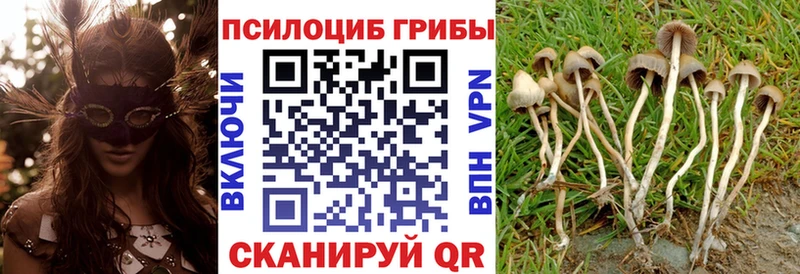 что такое наркотик  Шацк  Псилоцибиновые грибы мухоморы 